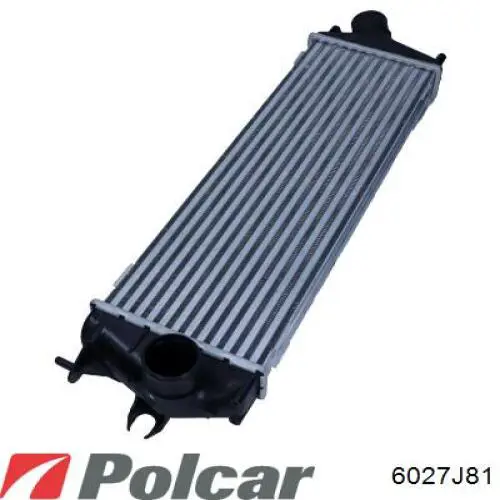 Інтеркулер AC630021 Maxgear