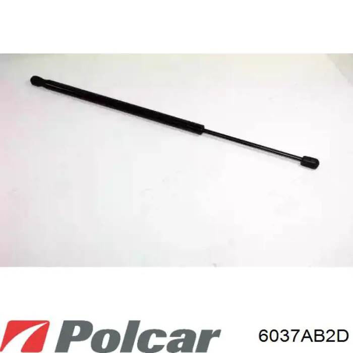 Амортизатор двері задньої Polcar 6037AB2D ціна, від 8.87 USD