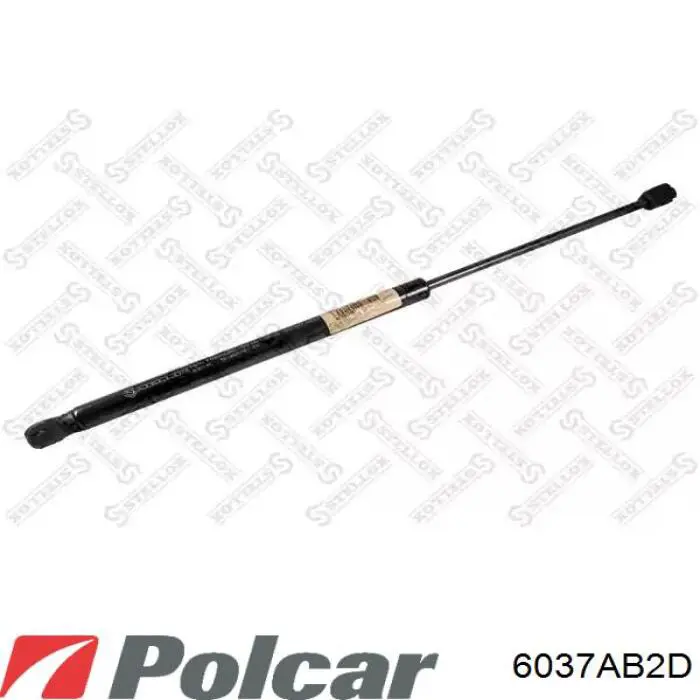 Амортизатор багажника 6037AB2D Polcar