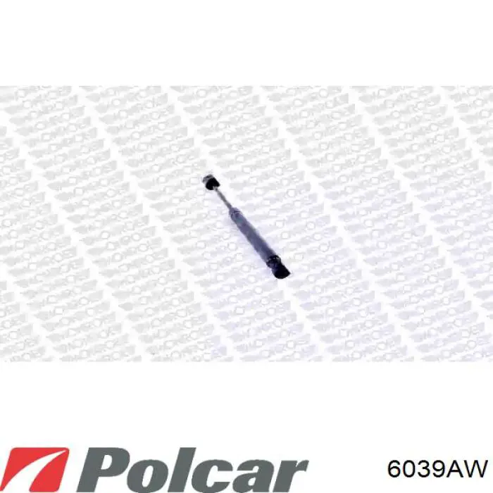 Амортизатор скла задніх, 3/5-ї двері (ляди) Polcar 6039AW ціна, від 10.12 USD