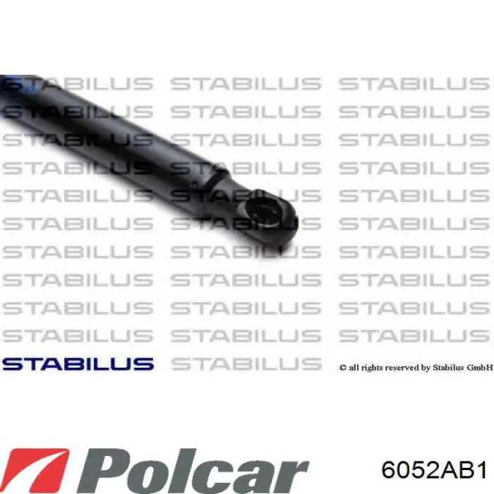 Амортизатор двері задньої Polcar 6052AB1 ціна, від 12.08 USD