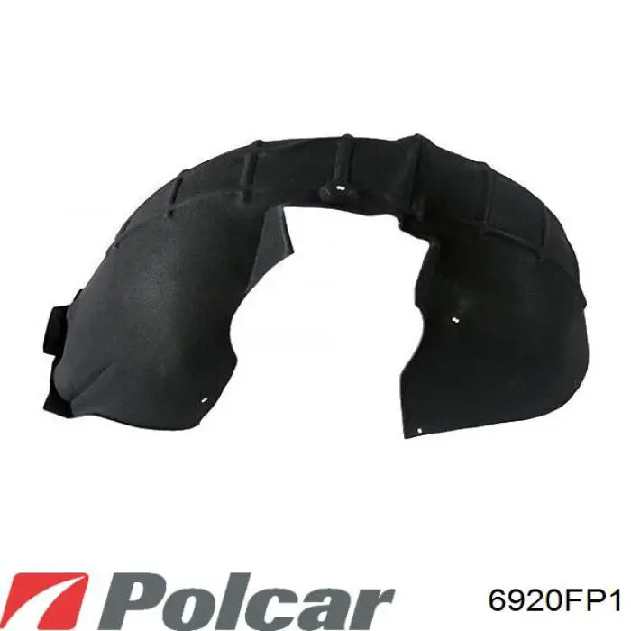 Купити FP6404388 FPS Підкрилок передній правий
