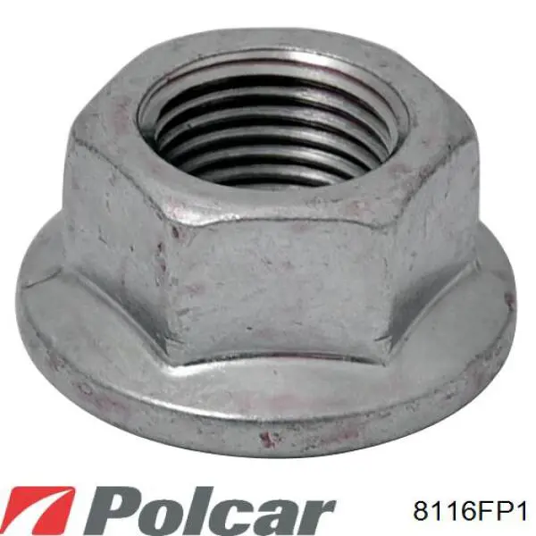 8116FP1 Polcar Підкрилок переднього крила, правий