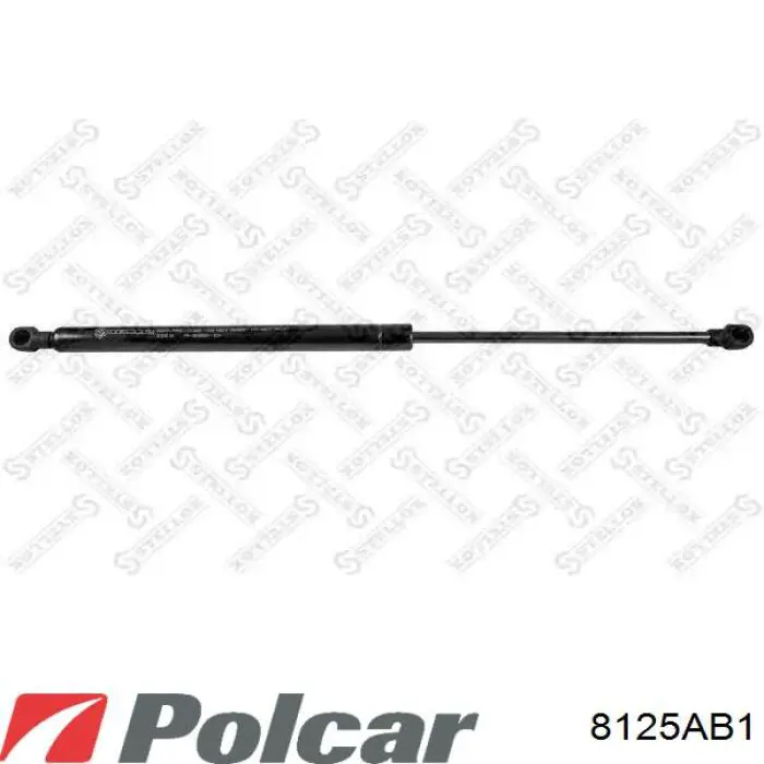 Амортизатор двері задньої Polcar 8125AB1 ціна, від 6.33 USD