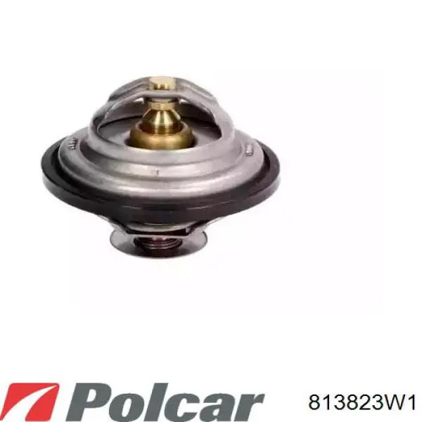 Двигун вентилятора системи охолодження, лівий Polcar 813823W1 ціна, від 25.34 USD