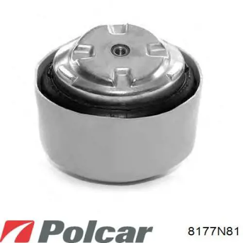 Купити 8177N81 Polcar Радіатор пічки (обігрівача), задній