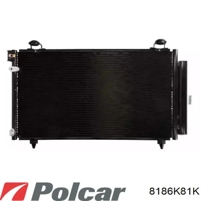 8186K81K Polcar Конденсатор