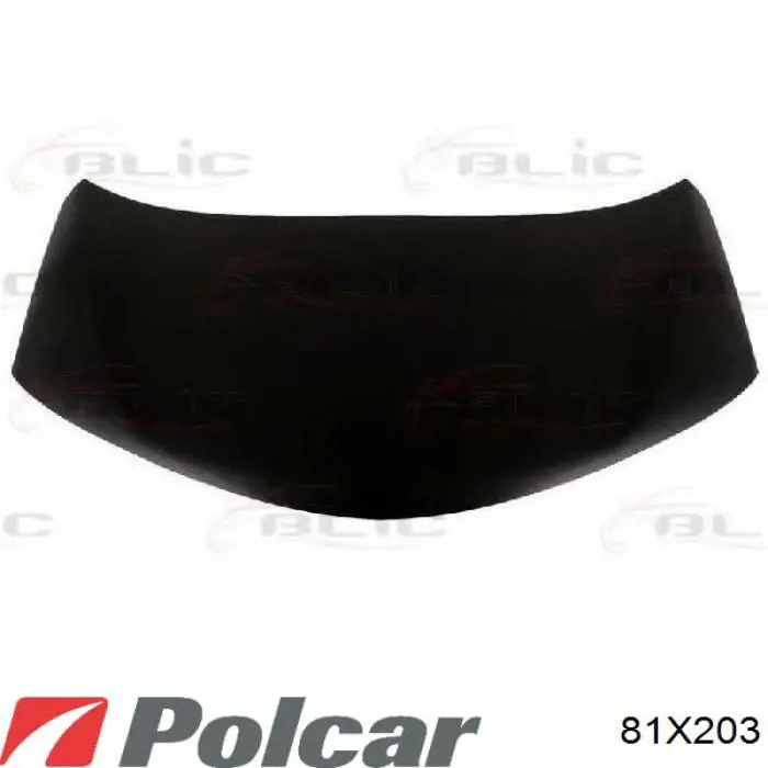 APTY0903C Amparts Капот