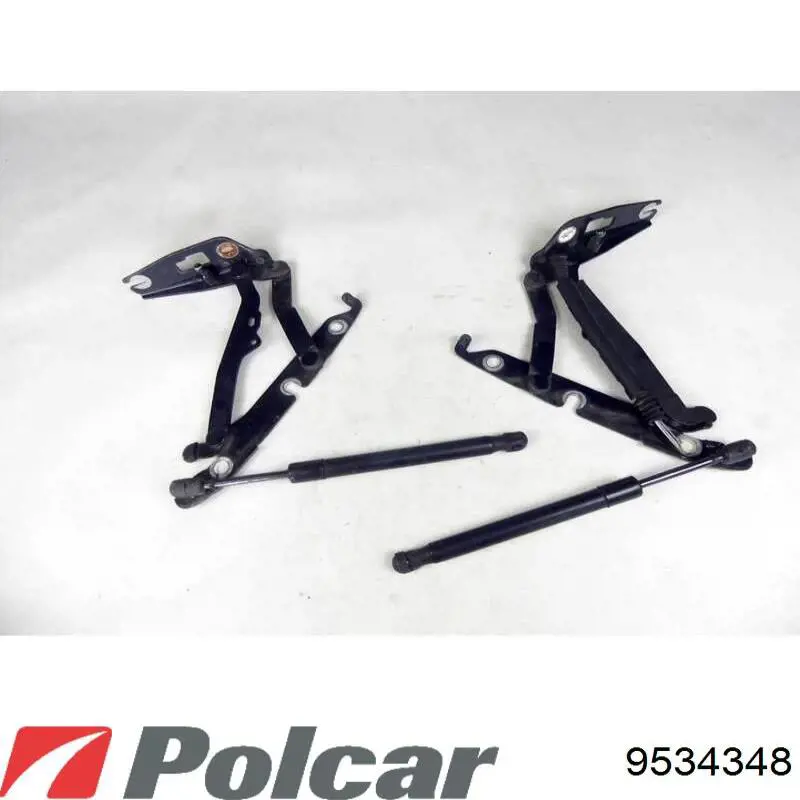  9534348 Polcar