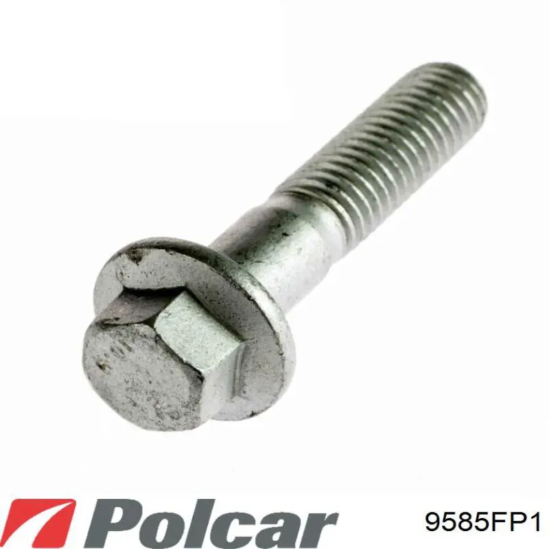 Купити 9585FP1 Polcar Підкрилок передній правий
