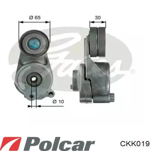 Купити CKK019 Polcar Компресор кліматичної установки