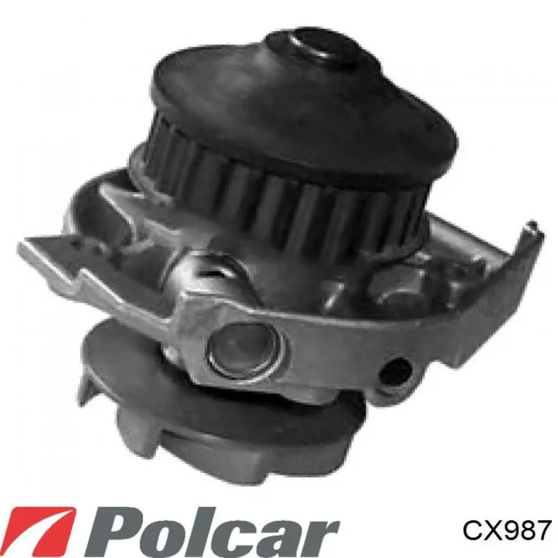 Купити CX987 Polcar Підшипник ступиці колеса