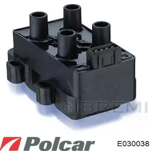 E030038 Polcar