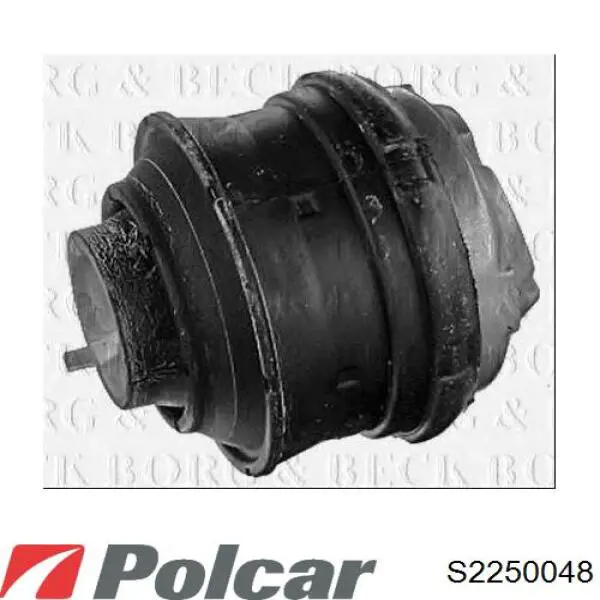  S2250048 Polcar