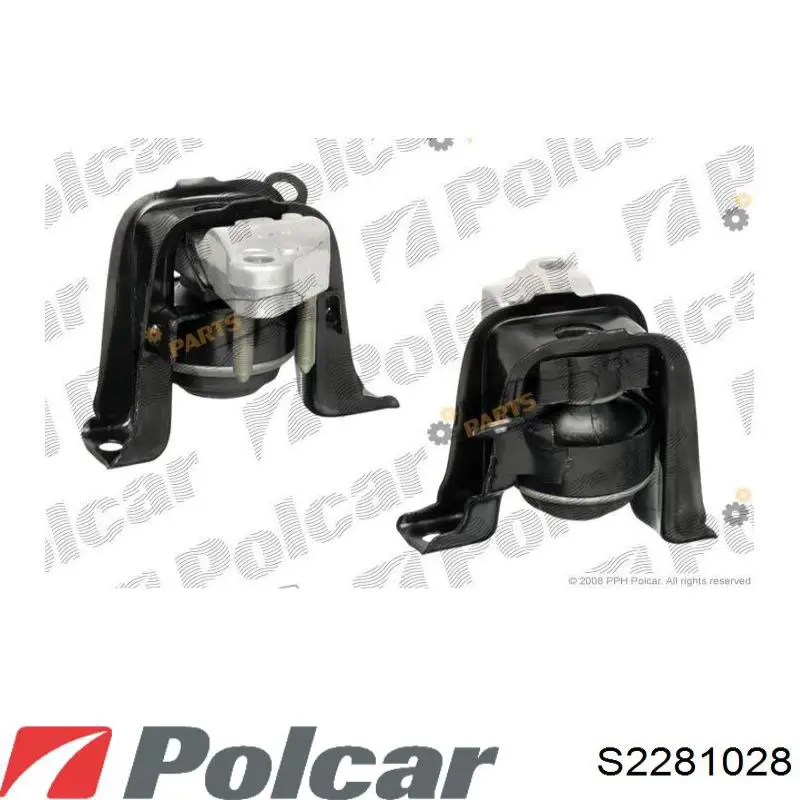 S2281028 Polcar 