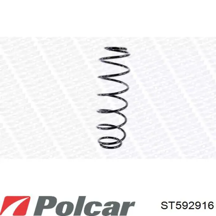 Купити ST592916 Polcar Задні пружини