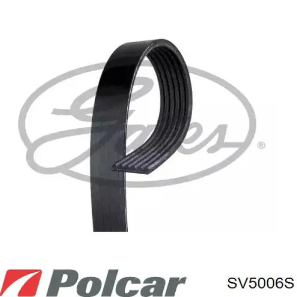 SV5006S Polcar Гідромуфта приводу вентилятора