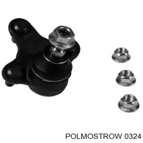 0324 Polmostrow Глушник, задня частина