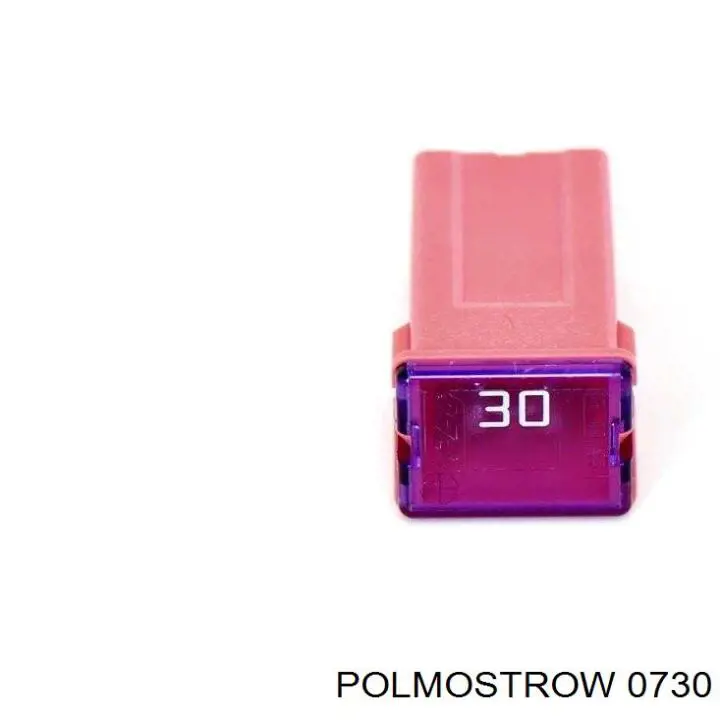  730 Polmostrow