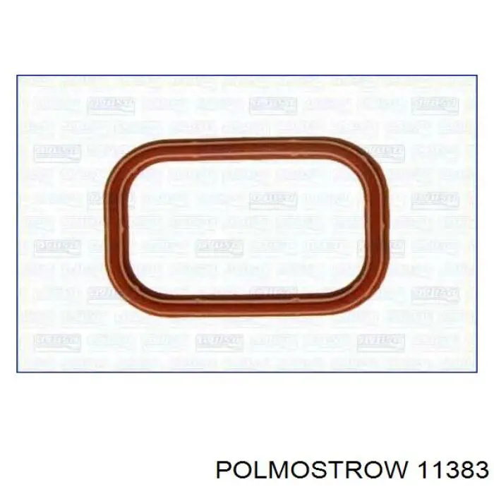 11383 Polmostrow глушник, задня частина