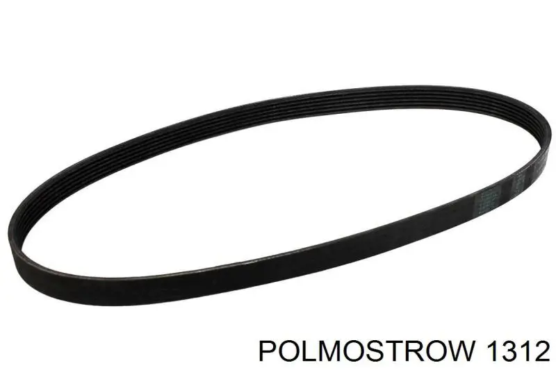 1312 Polmostrow глушник, центральна частина