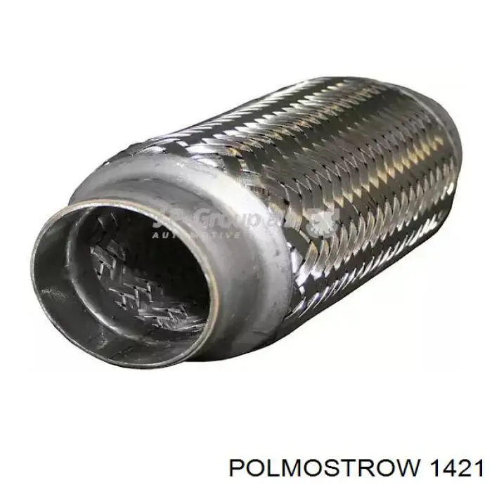 1421 Polmostrow Глушник, задня частина