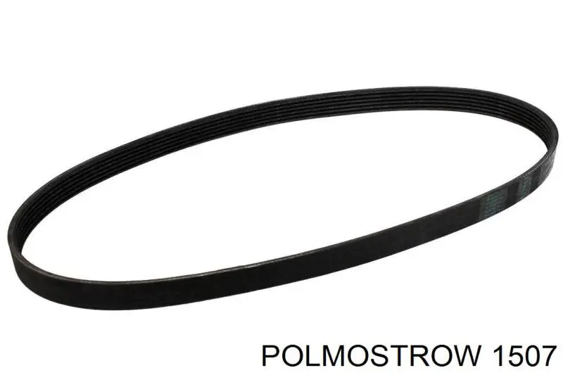  1507 Polmostrow