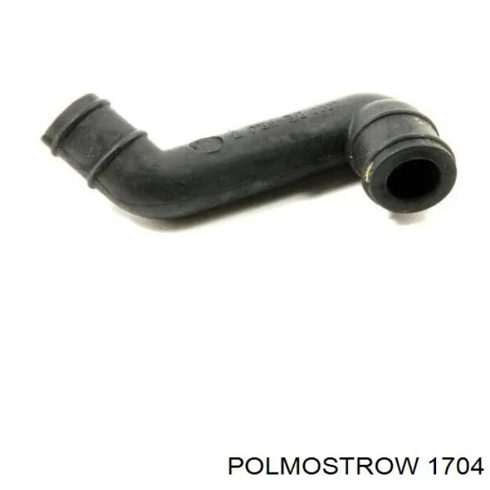  1704 Polmostrow