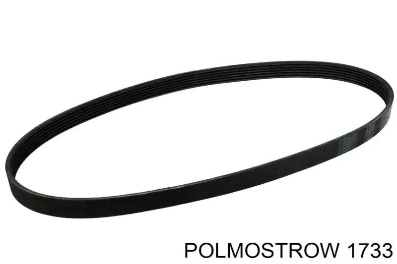1733 Polmostrow Середній глушник