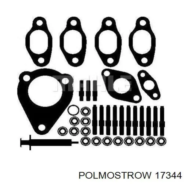 17344 Polmostrow Середній глушник