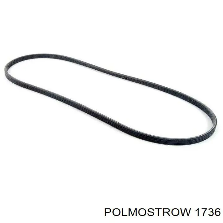 1736 Polmostrow Середній глушник