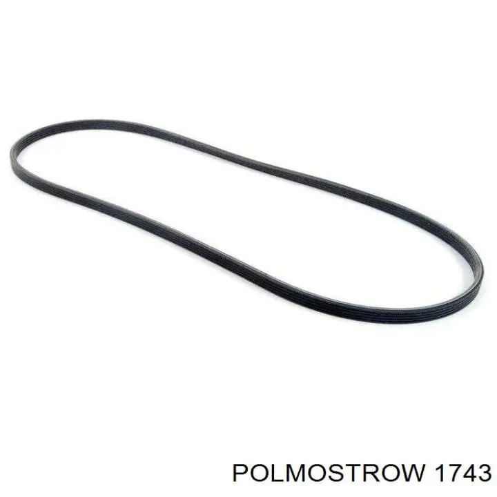 1743 Polmostrow глушник, центральна частина