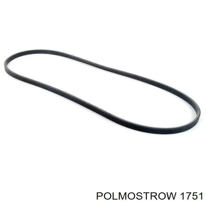 1751 Polmostrow глушник, задня частина