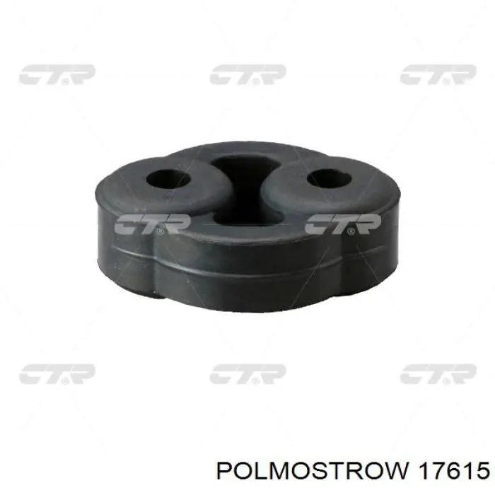 17615 Polmostrow Глушилка задня