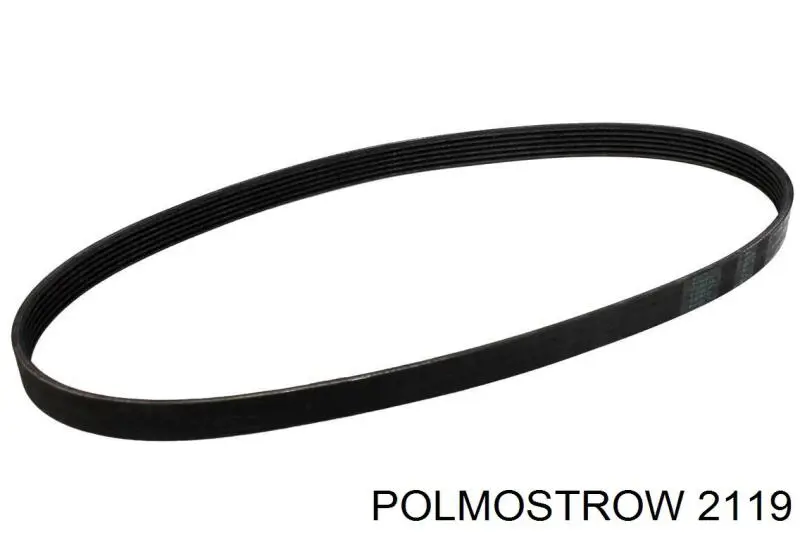 2119 Polmostrow глушник, центральна частина