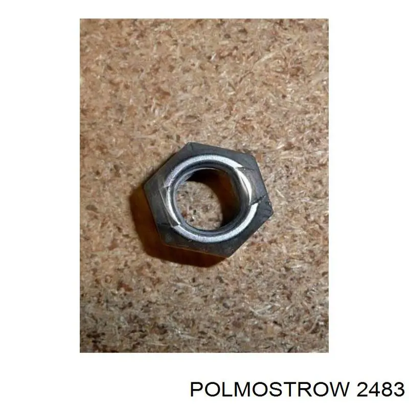 2483 Polmostrow Глушилка задня
