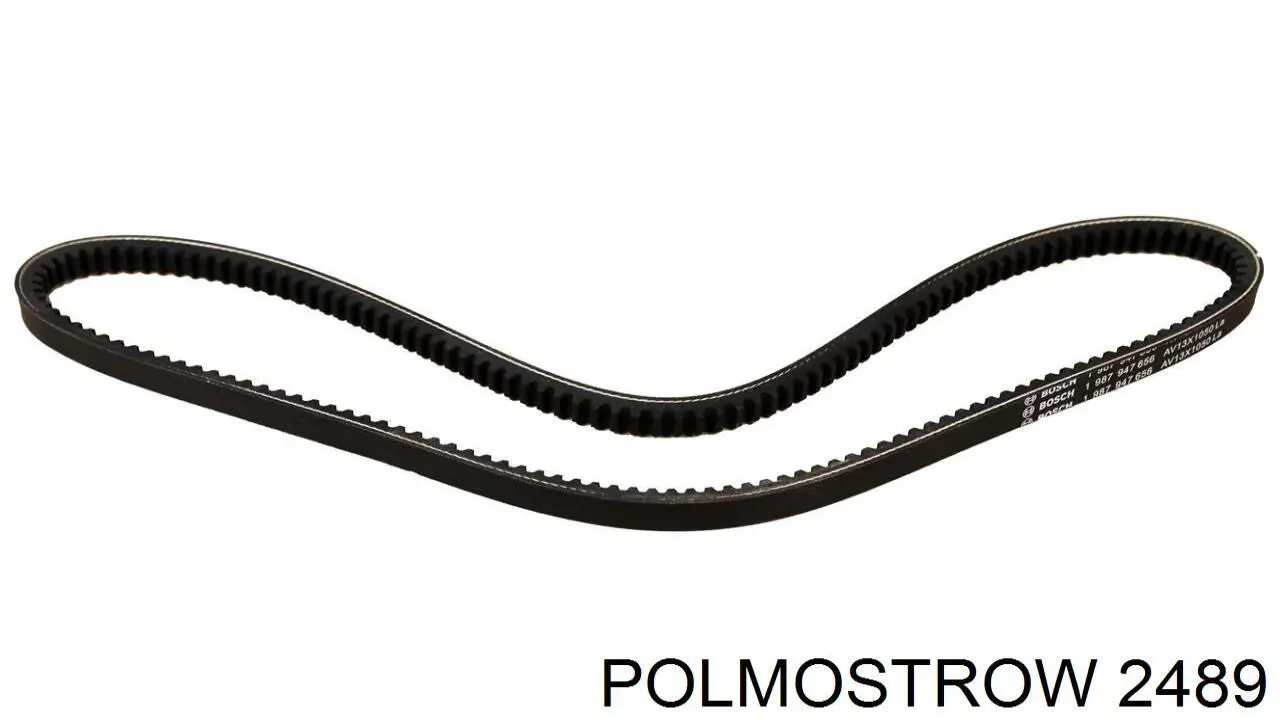 2489 Polmostrow Глушилка задня