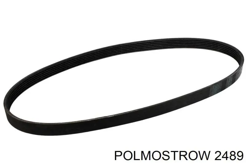 Купити 2489 Polmostrow Вихлоп
