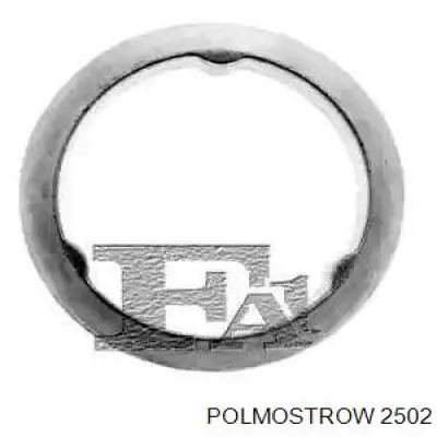 2502 Polmostrow глушник, задня частина