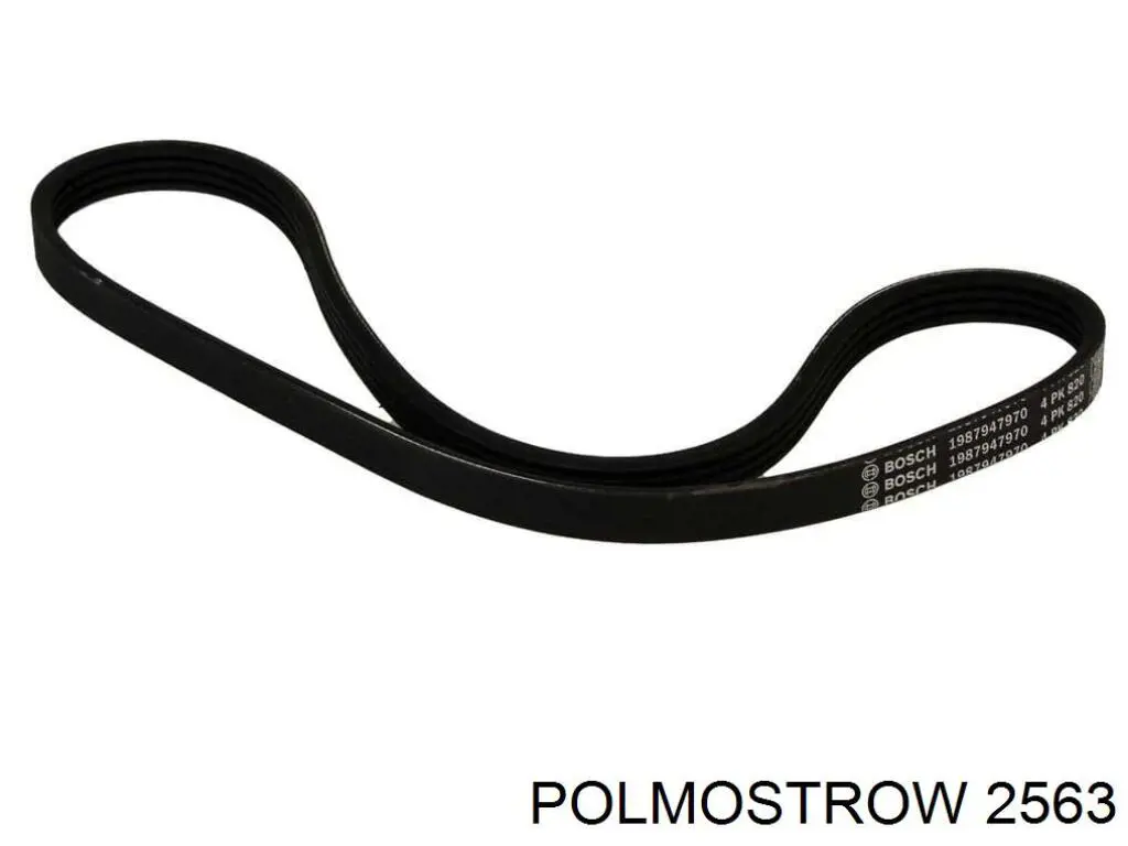 Купити 2563 Polmostrow Глушник, передня частина