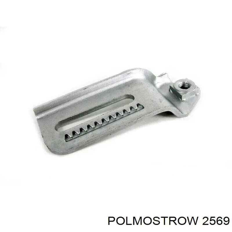  2569 Polmostrow