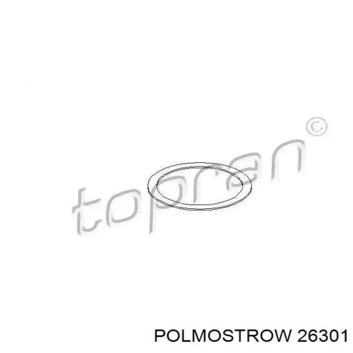 FP8136G31 Polmostrow глушник, задня частина