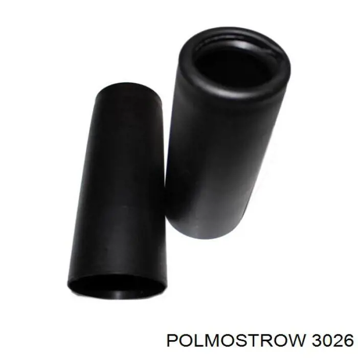  3026 Polmostrow