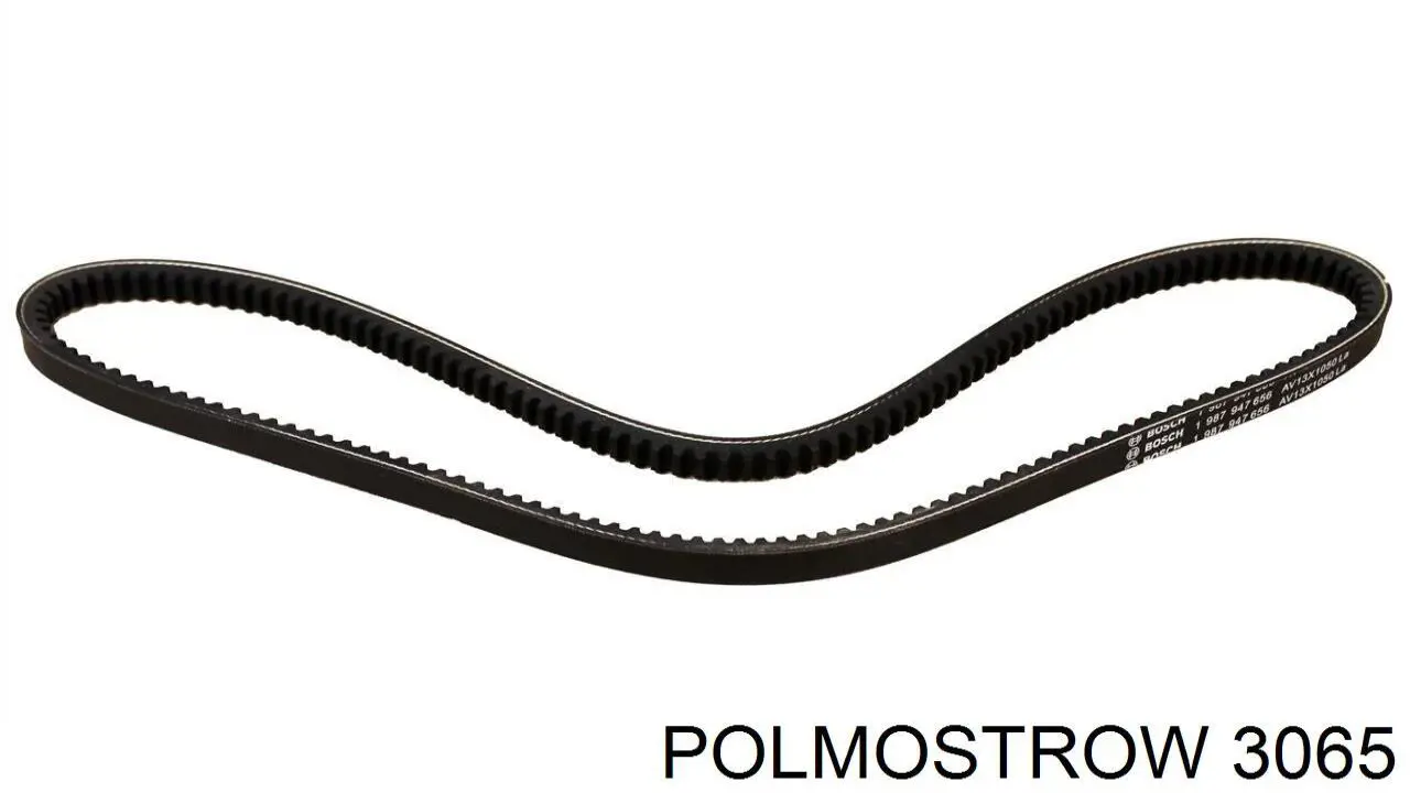 Глушник, центральна частина 3065 Polmostrow