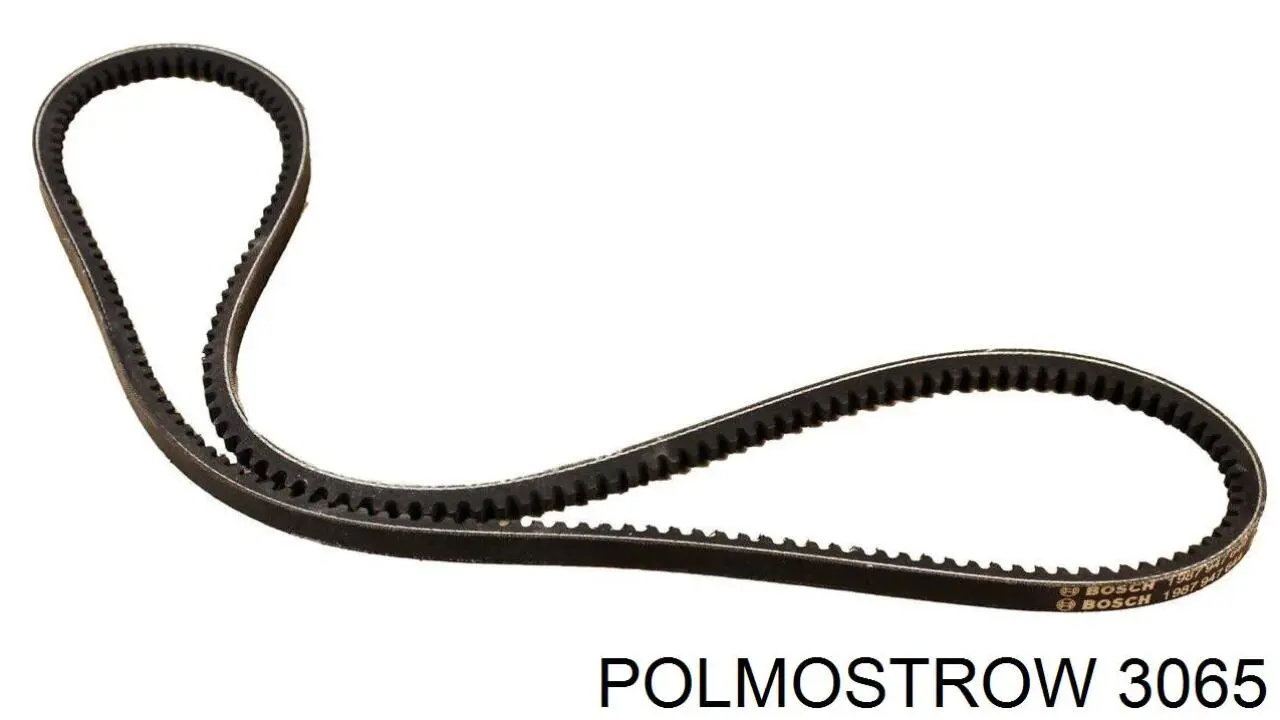 Купити 3065 Polmostrow Вихлоп
