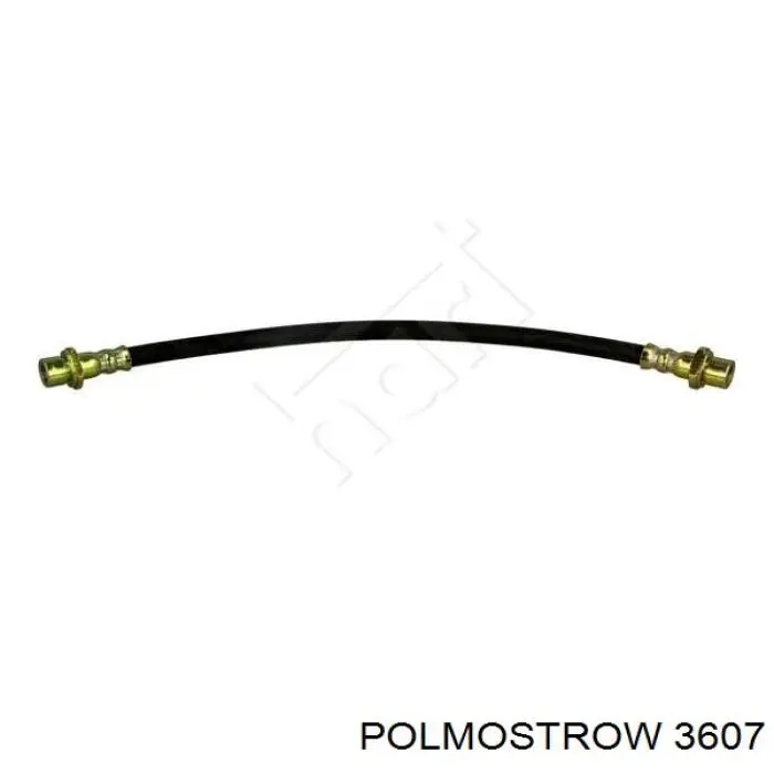 3607 Polmostrow 