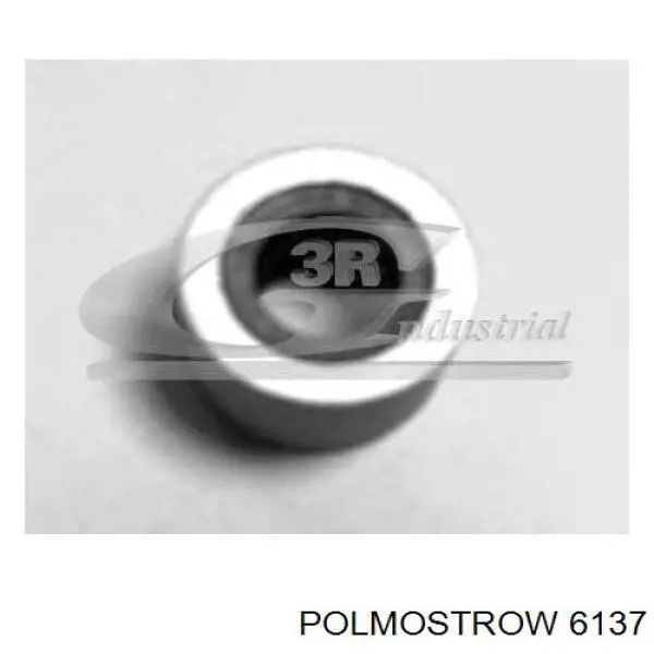 6137 Polmostrow Глушилка задня