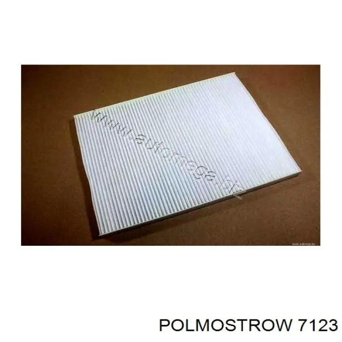  7123 Polmostrow