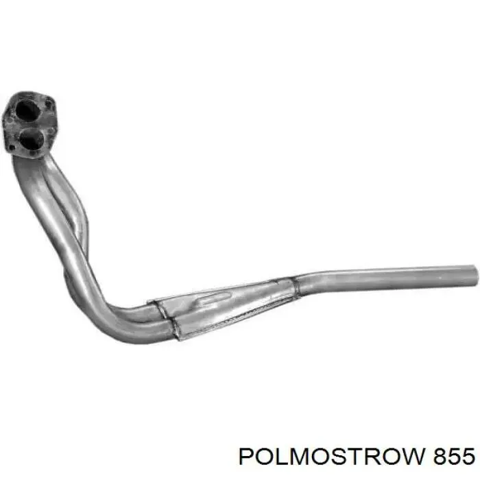 FP2551G21 Polmostrow Середній глушник