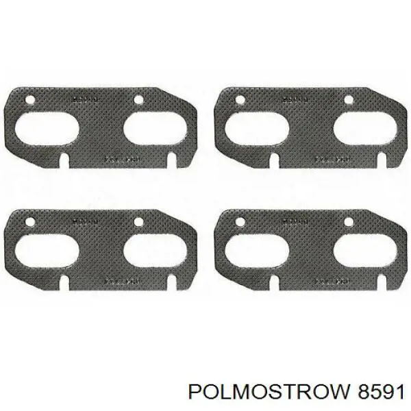 8591 Polmostrow Глушник, задня частина